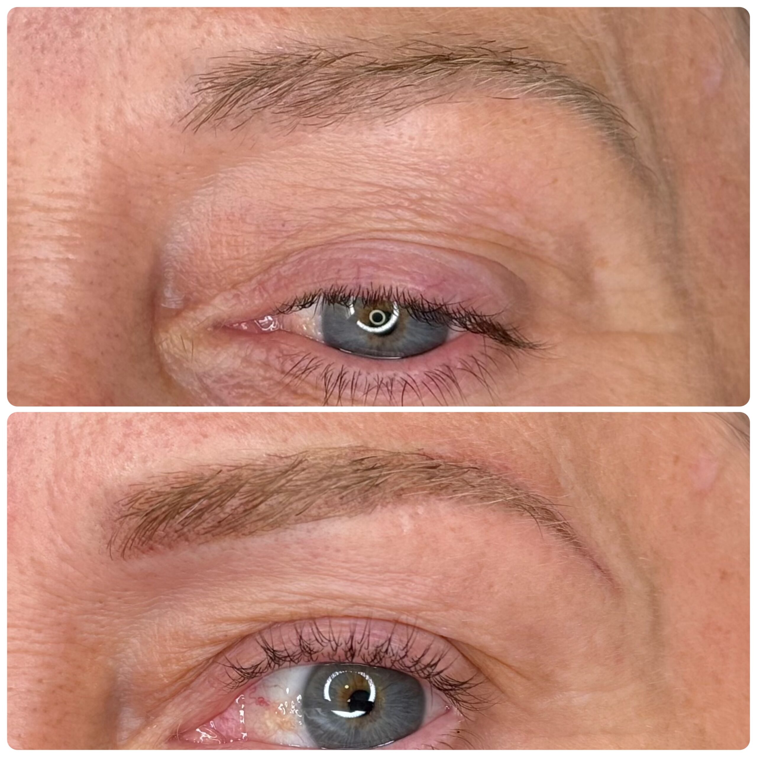 sourcil poudres maquillage permanent perpignan sourcil poudres maquillage permanent perpignan